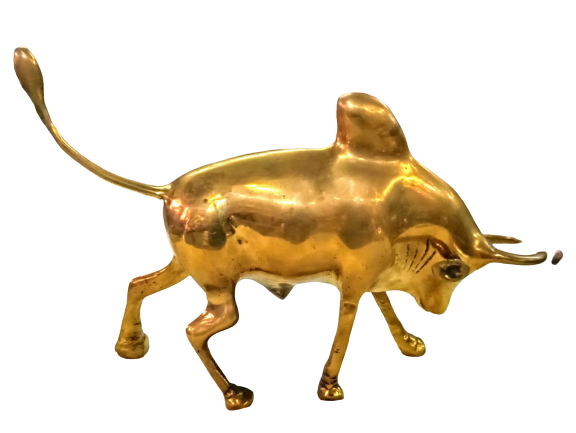 Brass Bull- AZ012